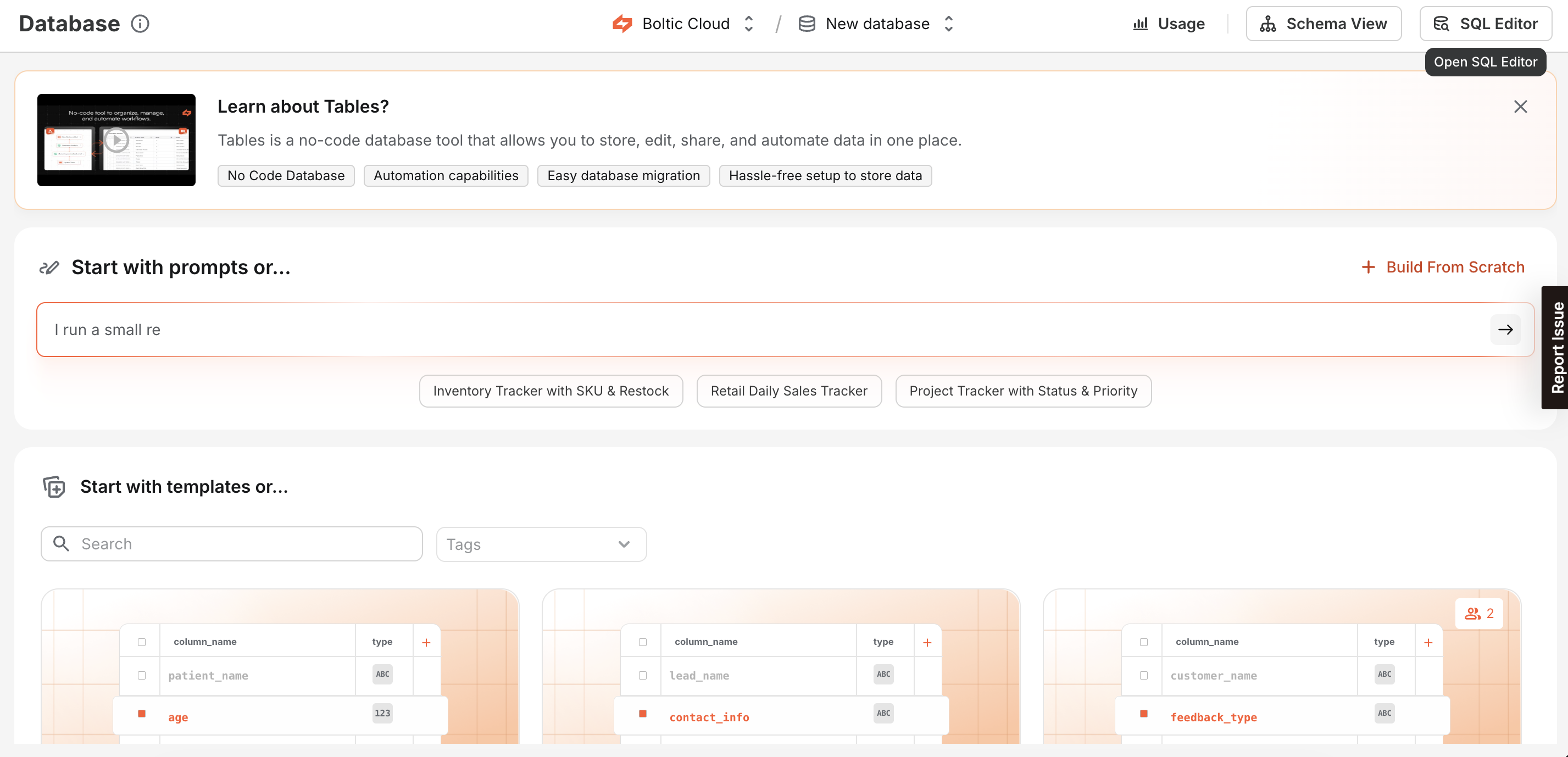 Database homepage showing Schema View and SQL Editor buttons